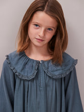 Hebe Kingfisher Blue