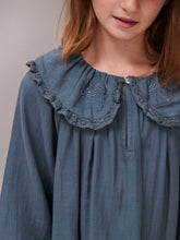 Hebe Kingfisher Blue