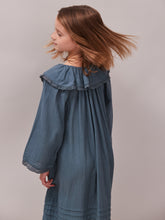 Hebe Kingfisher Blue