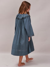 Hebe Kingfisher Blue